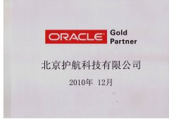 ORACLE Gold Partner In 2011